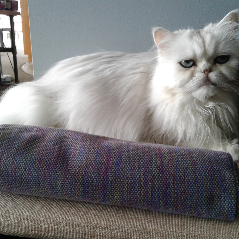 Ivivva Scarf